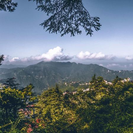 Stayvista At Rose Cottage - Bonfire & Scenic View Shimla Exterior photo